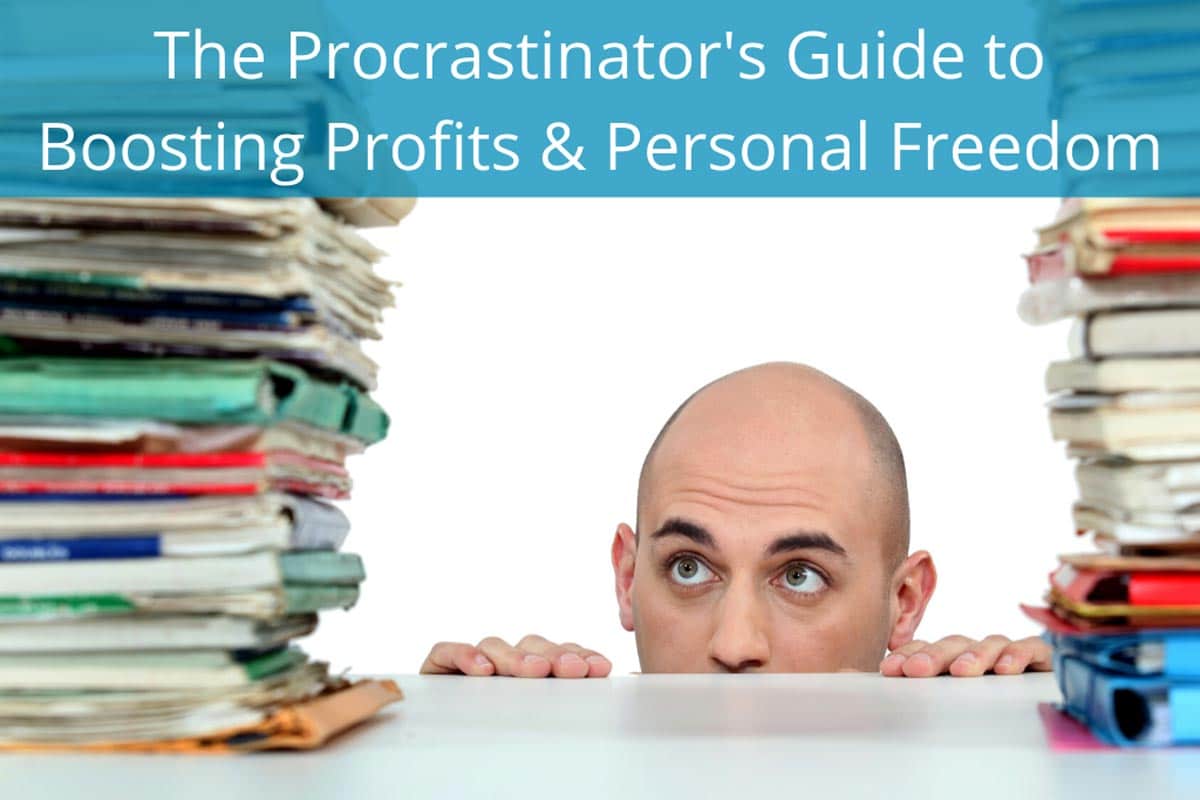 The Procrastinator's Guide to Boosting Profits & Personal Freedom